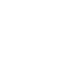 Time and Space in Adaptation